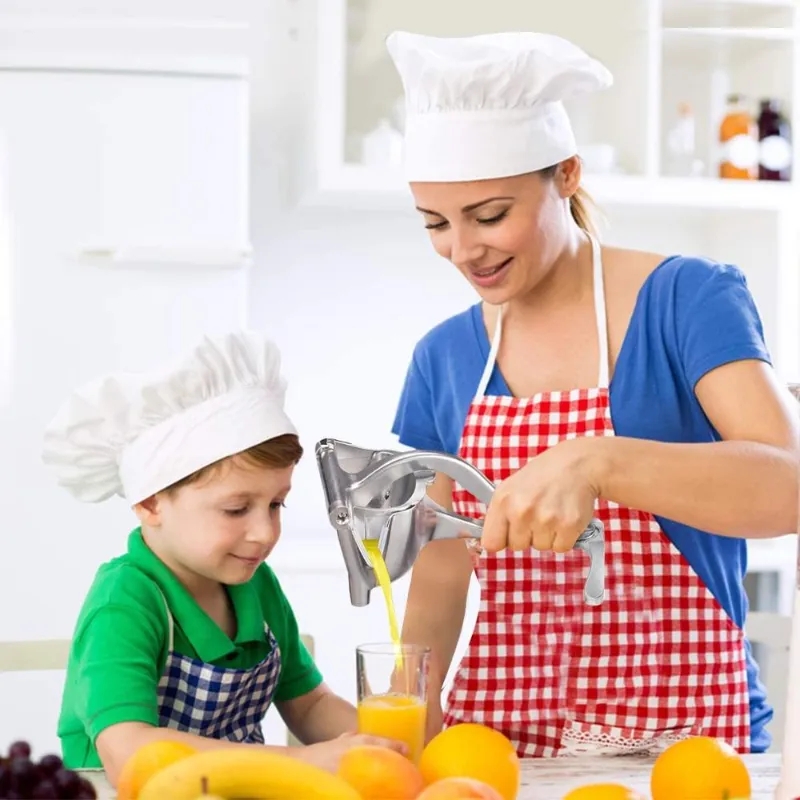 2026 Manual Juice Squeezer Alu - Citrus Juicer Bar review and price