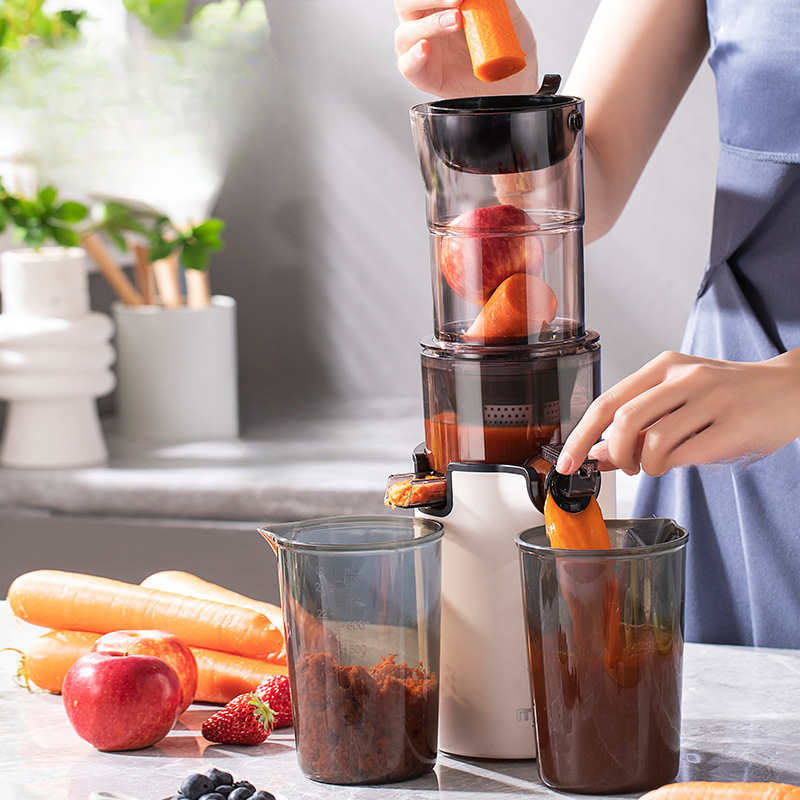 220V Household Electric Slow J - Citrus Juicer Bar review and price