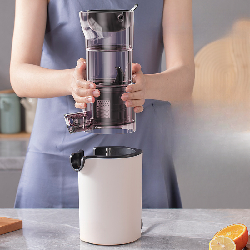 220V Household Electric Slow J - Citrus Juicer Bar review and price